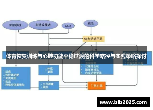 体育恢复训练与心肺功能平稳过渡的科学路径与实践策略探讨